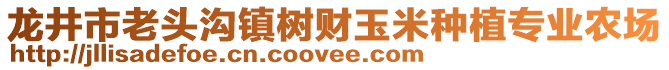 龍井市老頭溝鎮(zhèn)樹財(cái)玉米種植專業(yè)農(nóng)場(chǎng)