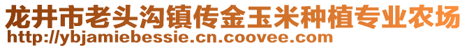 龍井市老頭溝鎮(zhèn)傳金玉米種植專(zhuān)業(yè)農(nóng)場(chǎng)