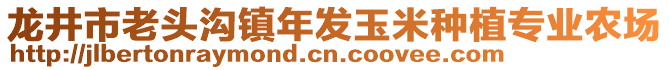 龍井市老頭溝鎮(zhèn)年發(fā)玉米種植專業(yè)農場