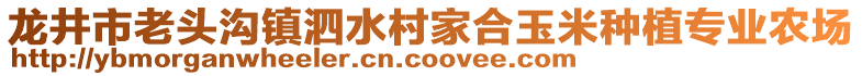 龍井市老頭溝鎮(zhèn)泗水村家合玉米種植專業(yè)農(nóng)場(chǎng)