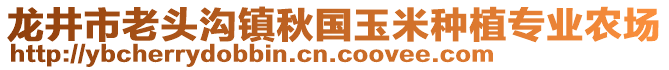 龍井市老頭溝鎮(zhèn)秋國(guó)玉米種植專業(yè)農(nóng)場(chǎng)