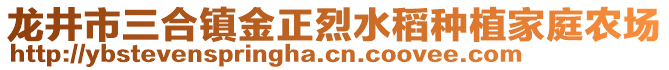 龍井市三合鎮(zhèn)金正烈水稻種植家庭農場