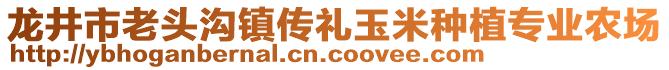 龙井市老头沟镇传礼玉米种植专业农场