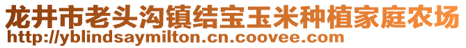 龍井市老頭溝鎮(zhèn)結(jié)寶玉米種植家庭農(nóng)場