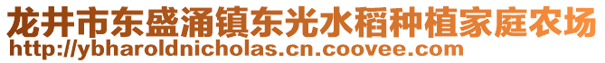 龙井市东盛涌镇东光水稻种植家庭农场