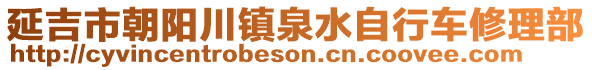 延吉市朝阳川镇泉水自行车修理部