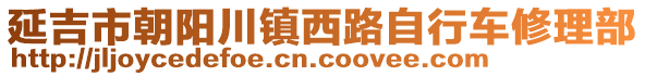 延吉市朝陽川鎮(zhèn)西路自行車修理部
