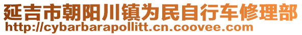 延吉市朝阳川镇为民自行车修理部