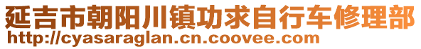 延吉市朝陽(yáng)川鎮(zhèn)功求自行車修理部