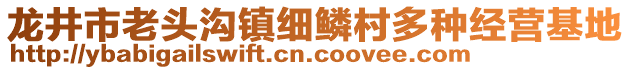 龍井市老頭溝鎮(zhèn)細鱗村多種經(jīng)營基地