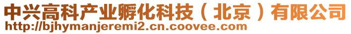 中興高科產(chǎn)業(yè)孵化科技（北京）有限公司