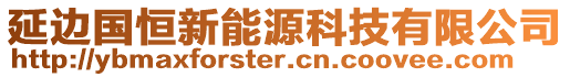 延邊國(guó)恒新能源科技有限公司