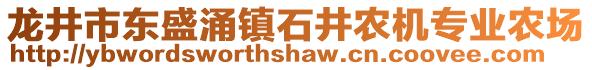 龍井市東盛涌鎮(zhèn)石井農(nóng)機專業(yè)農(nóng)場