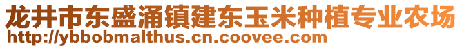 龍井市東盛涌鎮(zhèn)建東玉米種植專業(yè)農(nóng)場(chǎng)