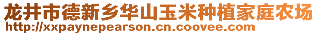 龍井市德新鄉(xiāng)華山玉米種植家庭農(nóng)場