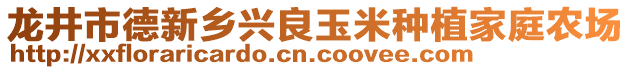 龍井市德新鄉(xiāng)興良玉米種植家庭農(nóng)場(chǎng)