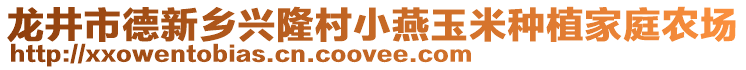 龍井市德新鄉(xiāng)興隆村小燕玉米種植家庭農(nóng)場