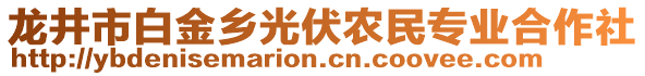 龍井市白金鄉(xiāng)光伏農(nóng)民專業(yè)合作社