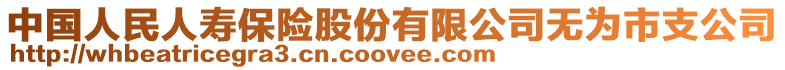 中國人民人壽保險股份有限公司無為市支公司