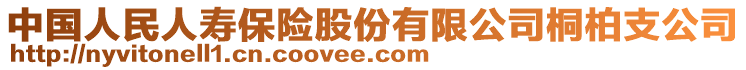 中國人民人壽保險股份有限公司桐柏支公司