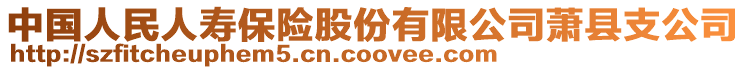 中国人民人寿保险股份有限公司萧县支公司