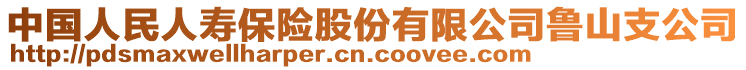 中國人民人壽保險股份有限公司魯山支公司