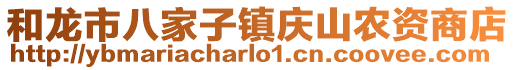 和龍市八家子鎮慶山農資商店