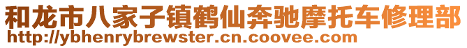 和龍市八家子鎮(zhèn)鶴仙奔馳摩托車修理部