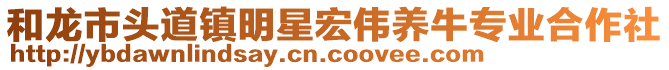 和龙市头道镇明星宏伟养牛专业合作社