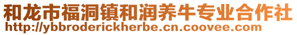 和龙市福洞镇和润养牛专业合作社