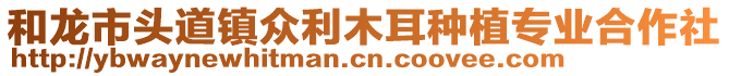 和龍市頭道鎮眾利木耳種植專業合作社