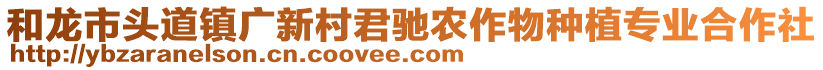 和龍市頭道鎮(zhèn)廣新村君馳農(nóng)作物種植專業(yè)合作社