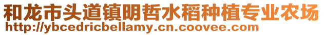 和龍市頭道鎮(zhèn)明哲水稻種植專業(yè)農(nóng)場