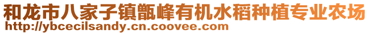 和龙市八家子镇甑峰有机水稻种植专业农场