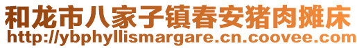 和龍市八家子鎮(zhèn)春安豬肉攤床