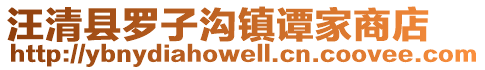 汪清县罗子沟镇谭家商店