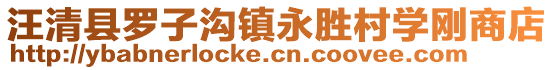 汪清县罗子沟镇永胜村学刚商店