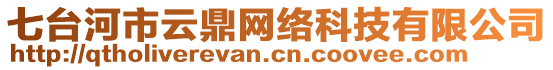 七台河市云鼎网络科技有限公司