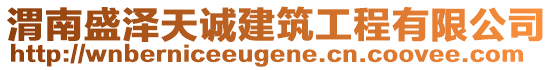 渭南盛澤天誠(chéng)建筑工程有限公司