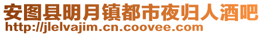 安圖縣明月鎮(zhèn)都市夜歸人酒吧