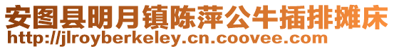 安圖縣明月鎮(zhèn)陳萍公牛插排攤床