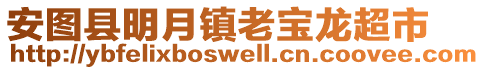 安圖縣明月鎮老寶龍超市