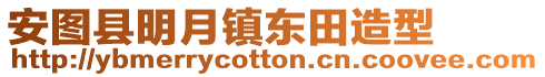 安圖縣明月鎮東田造型