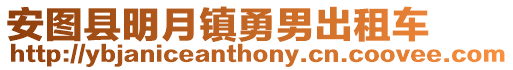 安圖縣明月鎮(zhèn)勇男出租車(chē)
