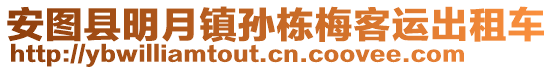 安圖縣明月鎮孫棟梅客運出租車