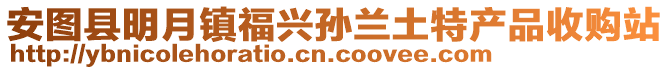 安圖縣明月鎮(zhèn)福興孫蘭土特產(chǎn)品收購(gòu)站