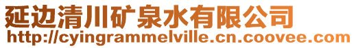 延邊清川礦泉水有限公司