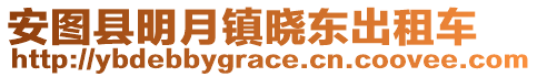 安圖縣明月鎮(zhèn)曉東出租車