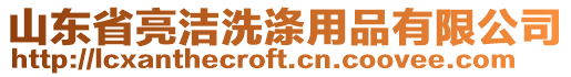 山東省亮潔洗滌用品有限公司