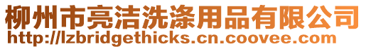 柳州市亮潔洗滌用品有限公司